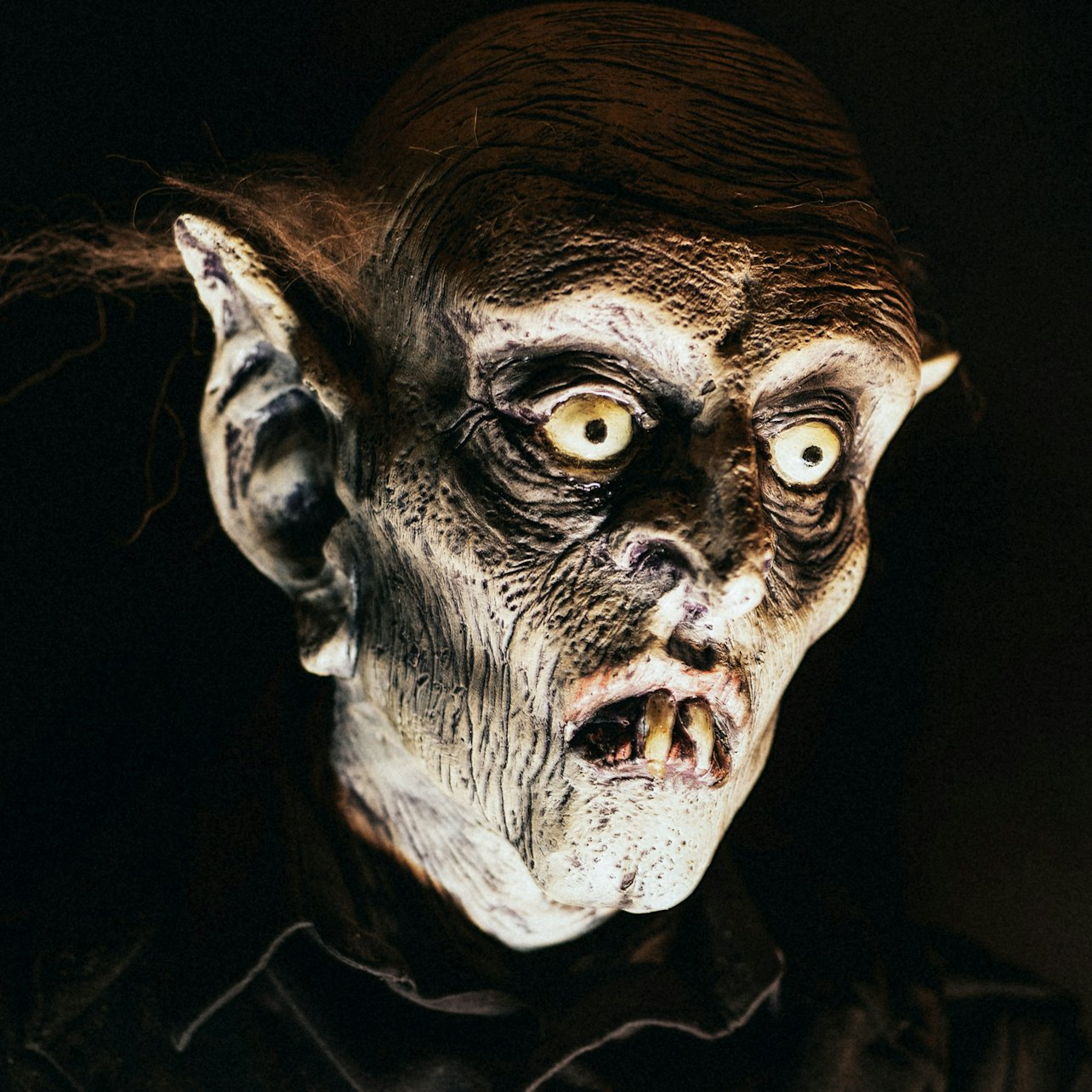 Tom Devlin's Monster Museum Self Guided Tour - Photo 1 of 4